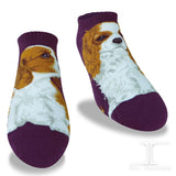 Ankle Socks Cavalier King Charles Dog
