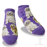 Ankle Socks Golden Retriever Dog