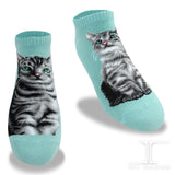 Ankle Socks American Short Hair Cat