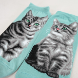 Ankle Socks American Short Hair Cat