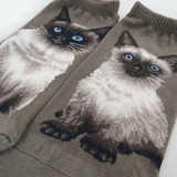 Ankle Socks Himalayan Cat