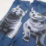 Ankle Socks Russian Blue Cat