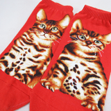 Ankle Socks - Bengal Cat