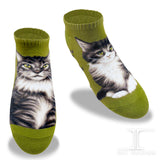 Ankle Socks Maine Coon Cat