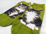 Ankle Socks Maine Coon Cat