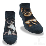 Ankle Socks Chihuahua Dog