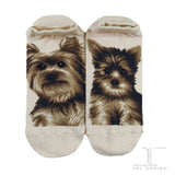 Ankle Socks Yorkshire Terrier Dog