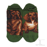 Ankle Socks Dachshund Dog