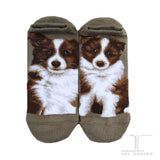 Ankle Socks Border Collie Dog