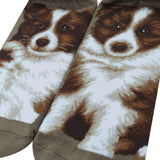 Ankle Socks Border Collie Dog