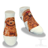 Ankle Socks Poodle
