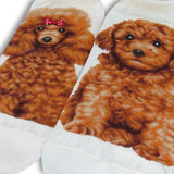 Ankle Socks Poodle