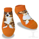 Ankle Socks Welsh Corgi Dog