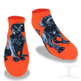 Ankle Socks - Great Dane Dog