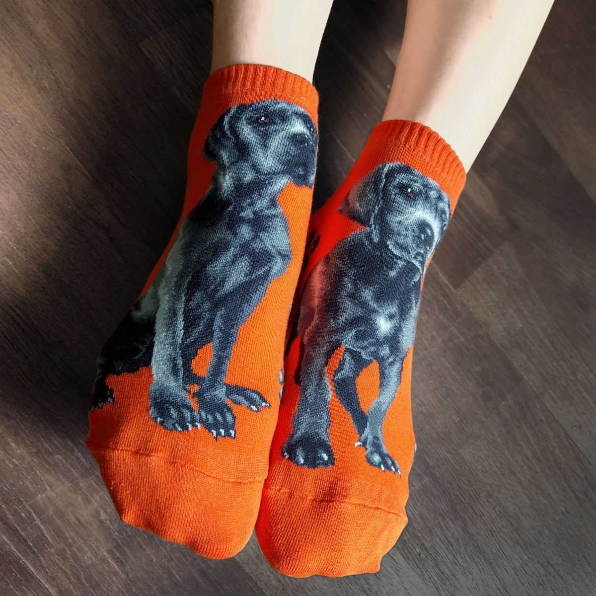 Ankle Socks Great Dane Dog THE SOCK DEN