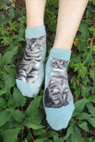 Ankle Socks American Short Hair Cat