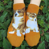 Ankle Socks Welsh Corgi Dog