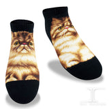Ankle Socks Persian Cat