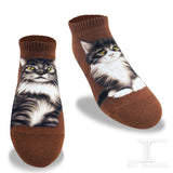 Ankle Socks Maine Coon Cat