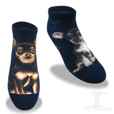 Ankle Socks Chihuahua Dog