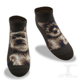 Ankle Socks Yorkshire Terrier Dog