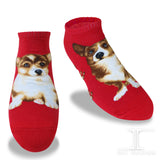 Ankle Socks Welsh Corgi Dog