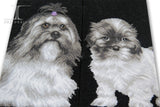 Ankle Socks Shih Tzu Dog