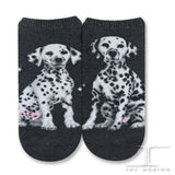 Ankle Socks Dalmatian Dog