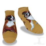 Ankle Socks Boxer Dog