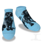 Ankle Socks - Great Dane Dog