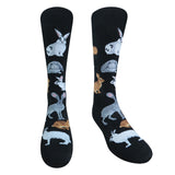 Chaossocks Rabbits and Hares