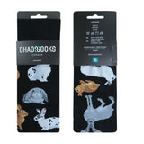Chaossocks Rabbits and Hares
