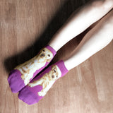 Ankle Socks - Labrador Dog