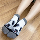 Ankle Socks Wild Life Panda