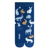 Chaossocks Rabbits and Hares