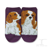 Ankle Socks Cavalier King Charles Dog