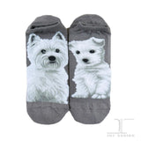 Ankle Socks - West Highland Terrier Dog