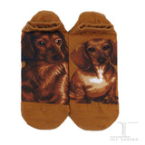 Ankle Socks Dachshund Dog