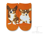 Ankle Socks Welsh Corgi Dog
