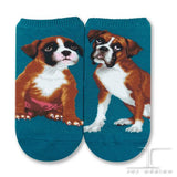 Ankle Socks Boxer Dog