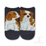 Ankle Socks Cavalier King Charles Dog
