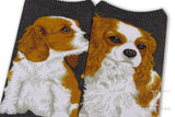 Ankle Socks Cavalier King Charles Dog