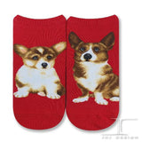 Ankle Socks Welsh Corgi Dog