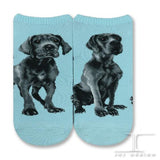 Ankle Socks - Great Dane Dog