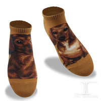 Ankle Socks Dachshund Dog