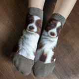 Ankle Socks Border Collie Dog