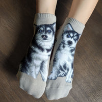 Ankle Socks Husky Dog