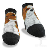 Ankle Socks Cavalier King Charles Dog