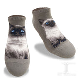 Ankle Socks Himalayan Cat