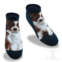 Ankle Socks Border Collie Dog